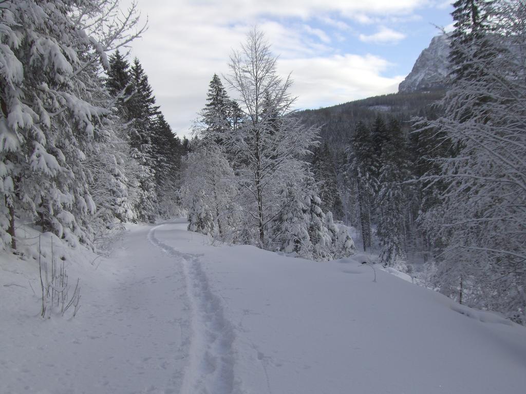 Ferienwohnung Am Roemerweg Wald 因泽尔 外观 照片