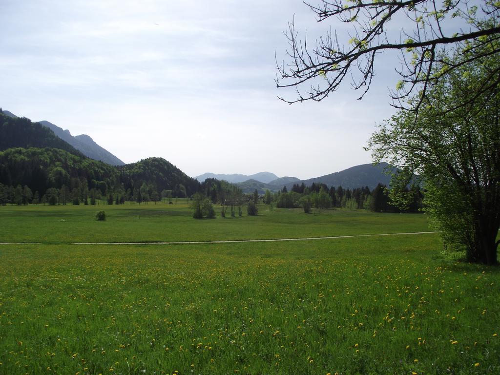 Ferienwohnung Am Roemerweg Wald 因泽尔 客房 照片