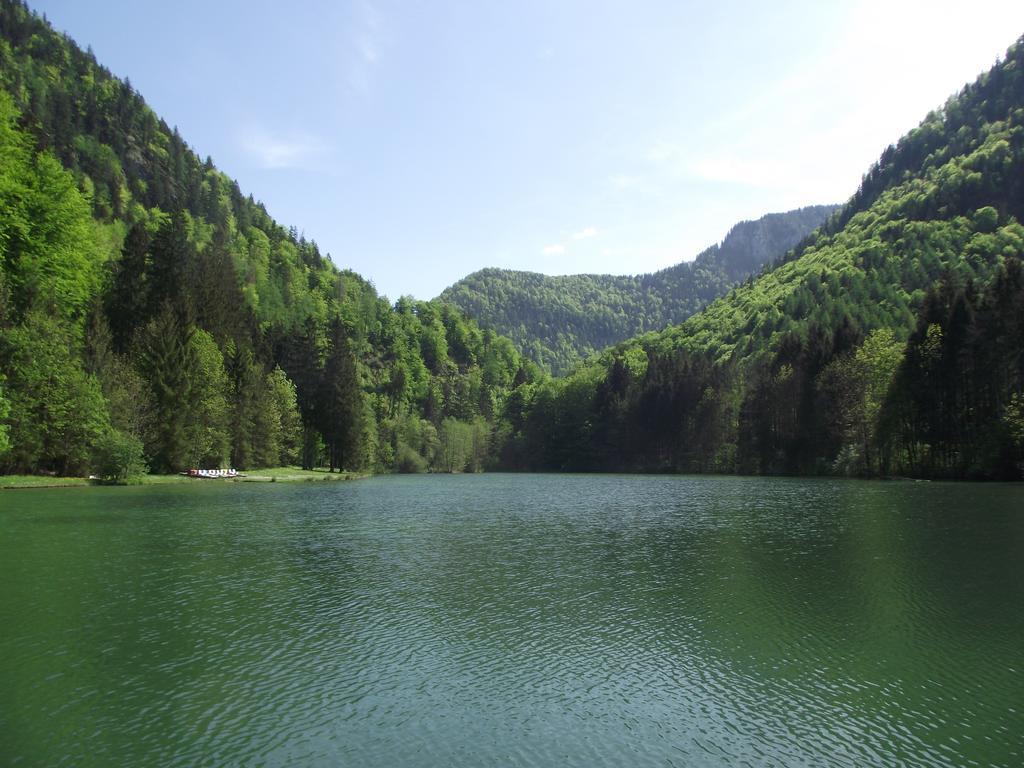 Ferienwohnung Am Roemerweg Wald 因泽尔 外观 照片