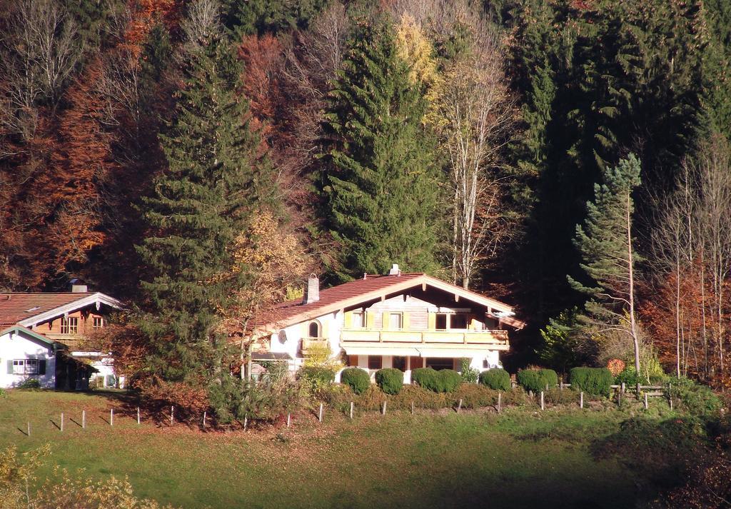 Ferienwohnung Am Roemerweg Wald 因泽尔 外观 照片