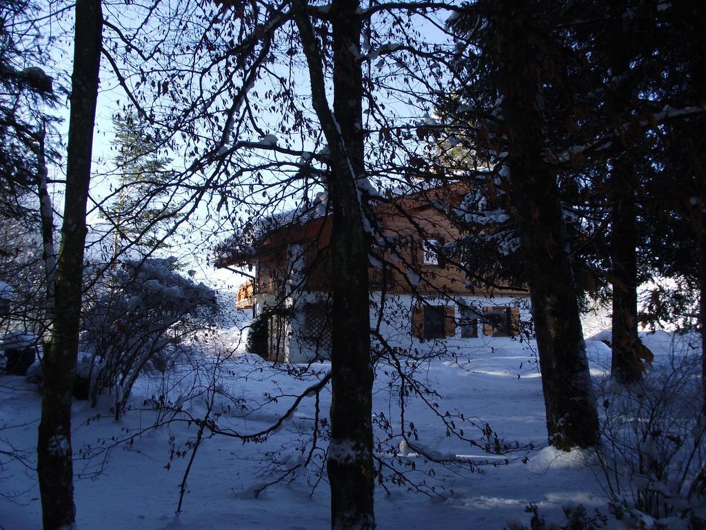 Ferienwohnung Am Roemerweg Wald 因泽尔 外观 照片