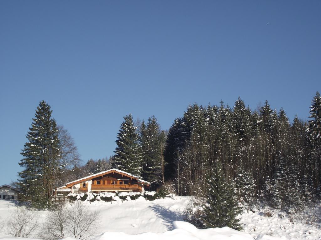 Ferienwohnung Am Roemerweg Wald 因泽尔 外观 照片