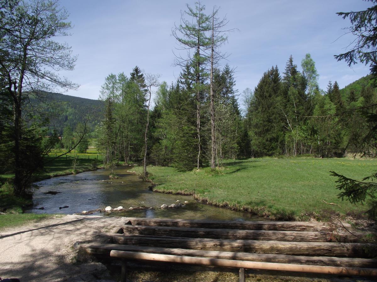 Ferienwohnung Am Roemerweg Wald 因泽尔 外观 照片